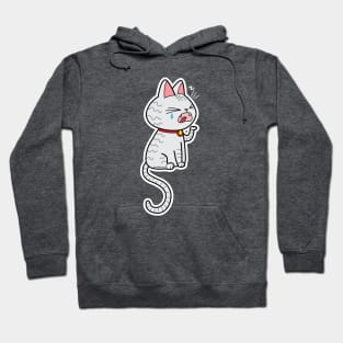 Sleepy cat Hoodie